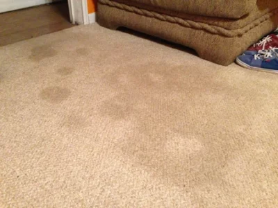 Removing Water Stains From Carpet (Easier Than You Think)