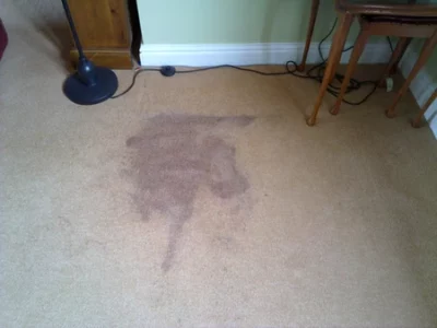 Why Do Carpet Stains Come Back After Steam Cleaning?