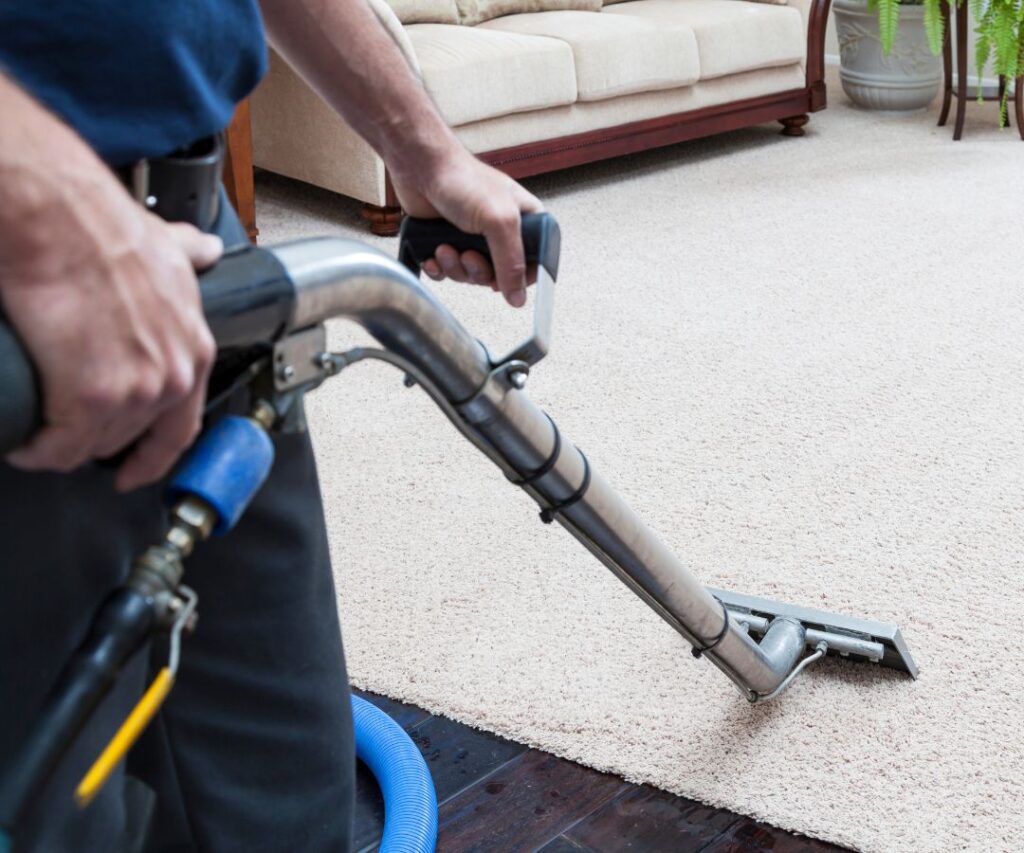 Carpet Cleaning