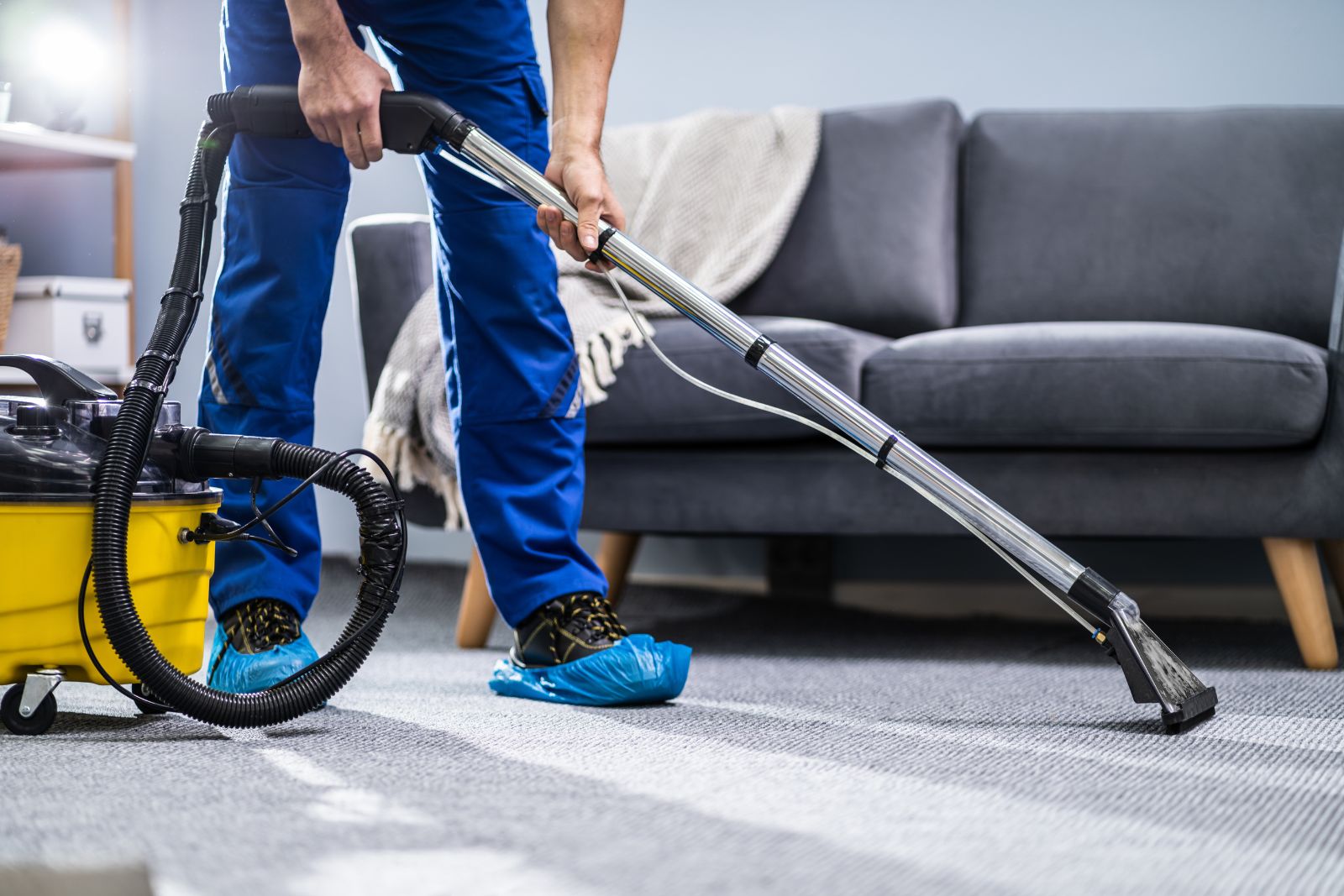 High-Quality Carpet Cleaning Results