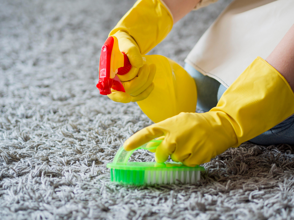 Regular carpet maintenance