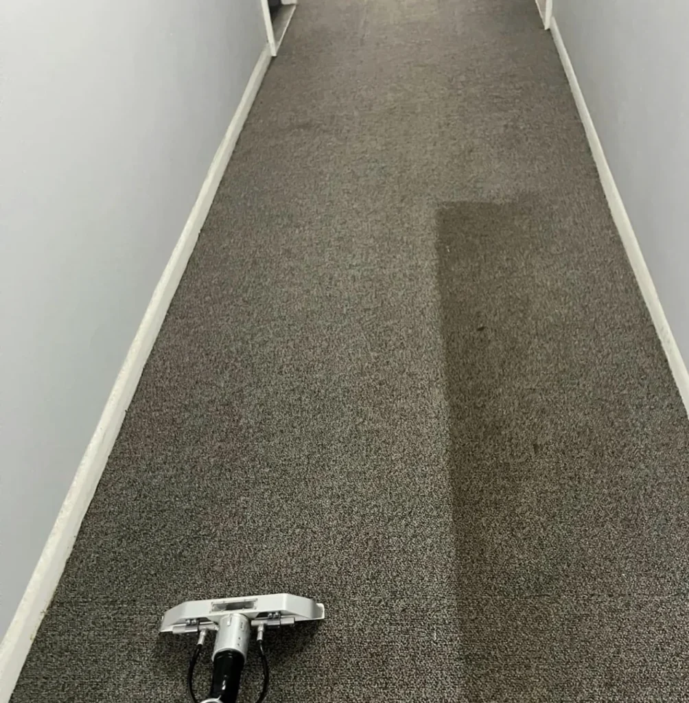 Carpet cleaning wand resting in a hallway with one clean stripe down the carpet