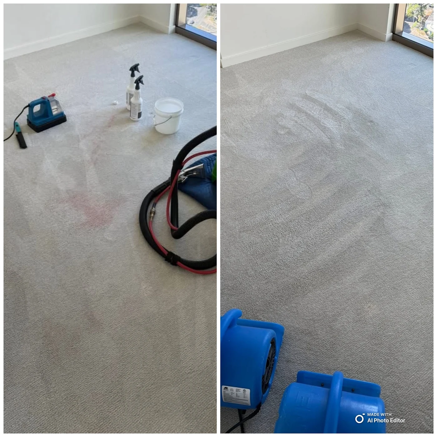 Carpet before and after cleaning, with air movers set up to dry it