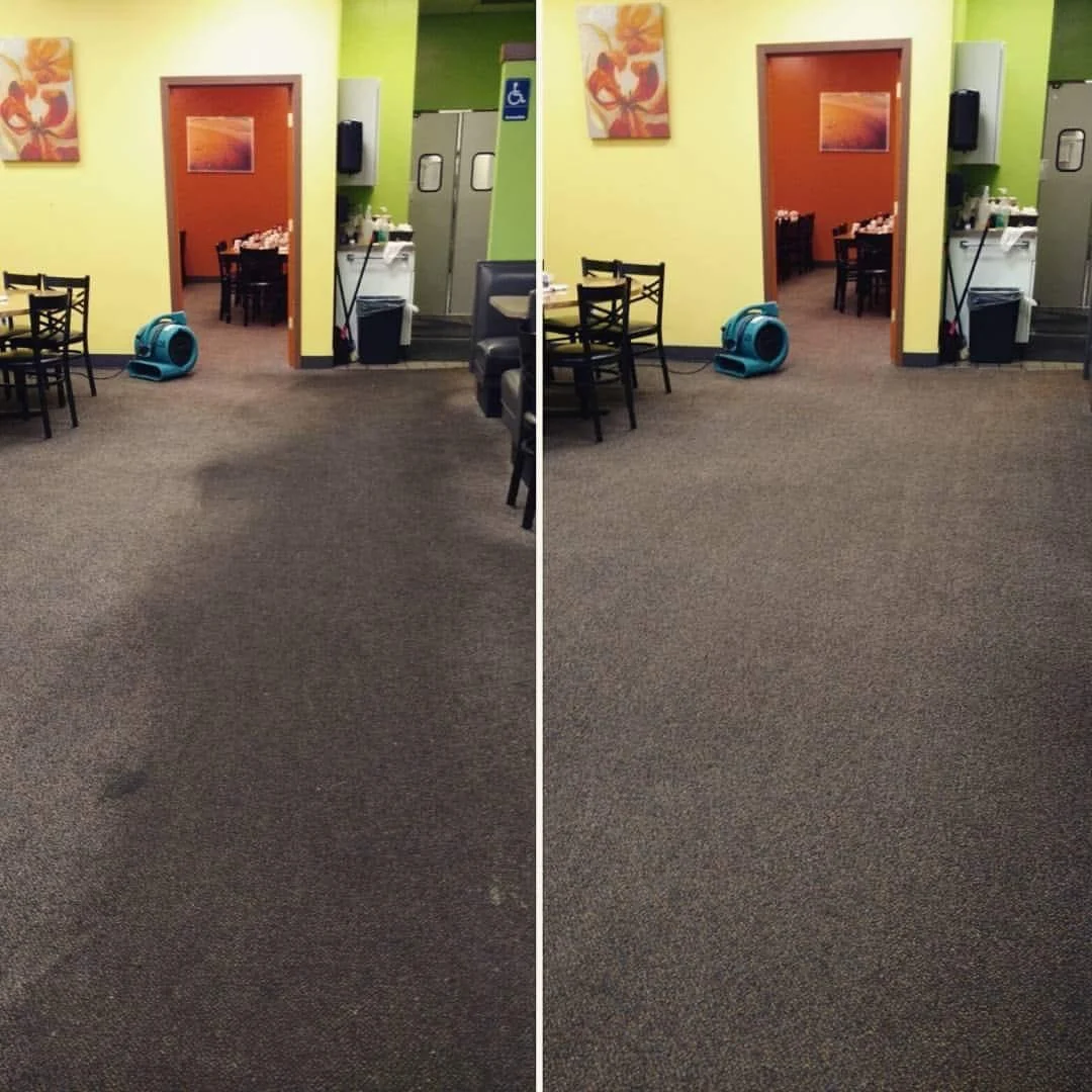 Commercial dining room carpet with air movers, shown before and after