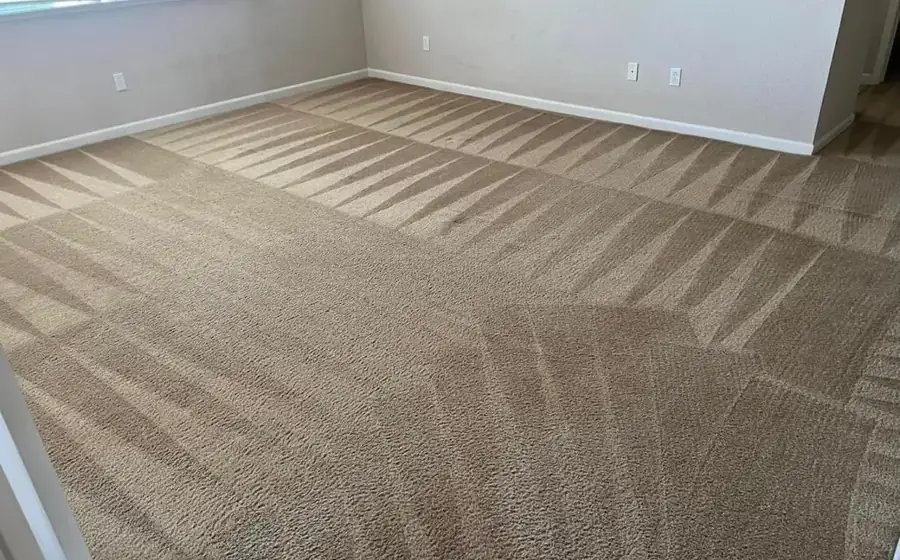 Fresh carpet lines after a Deep Steam carpet cleaning