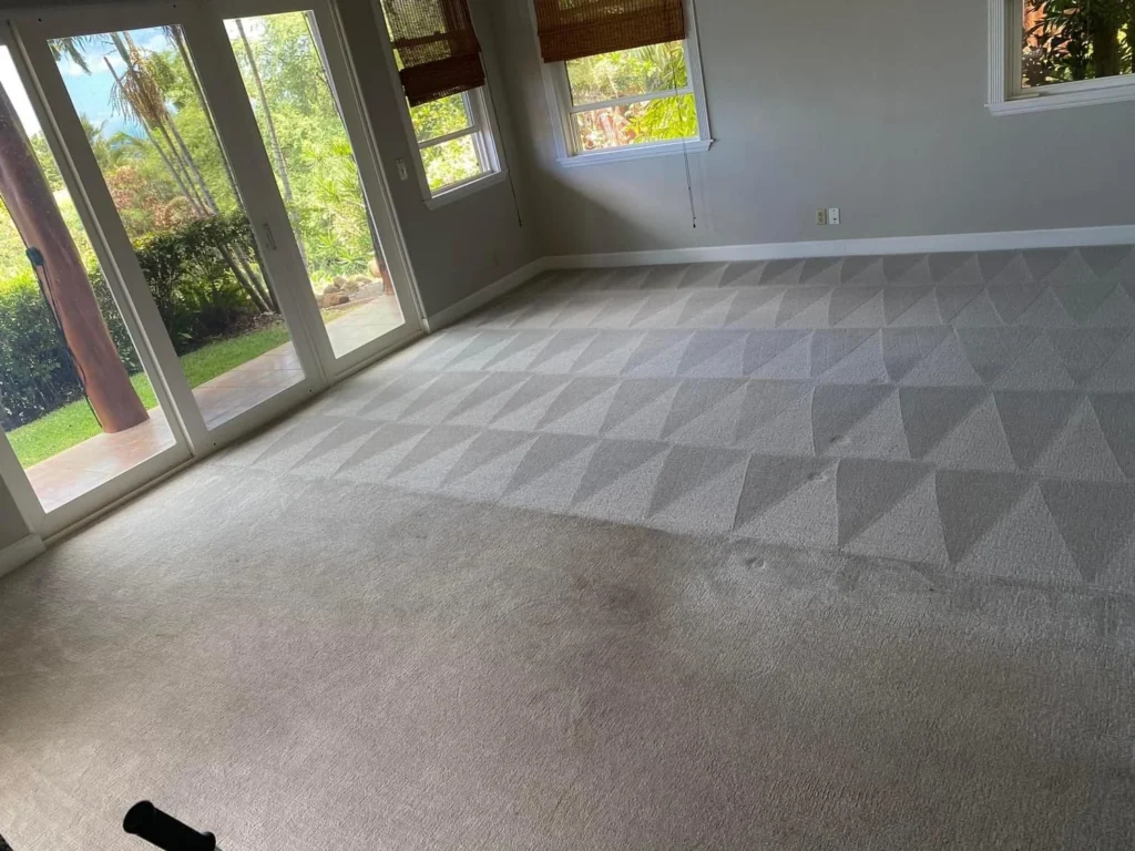 Sunroom carpet after cleaning, with cleaning lines across the floor