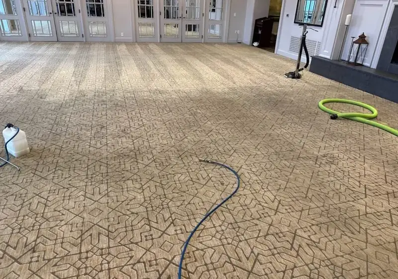 Carpet cleaned by Deep Steam