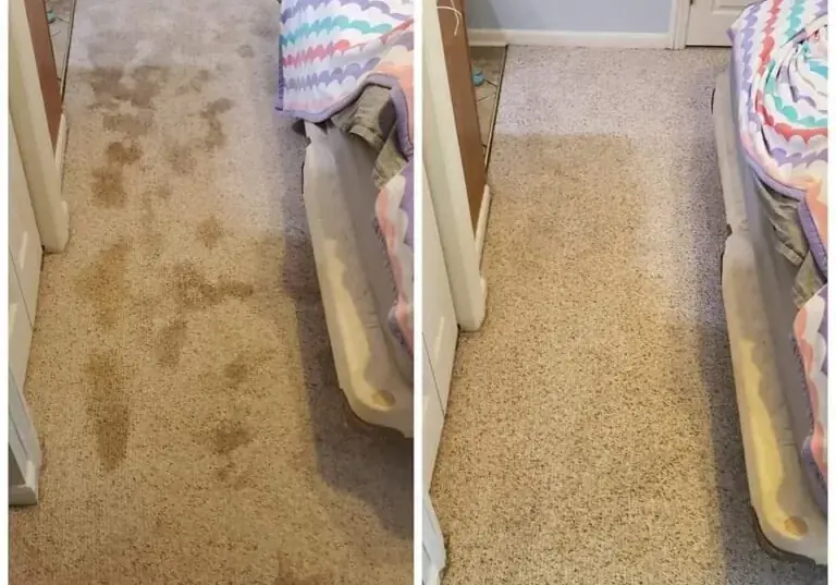 Hallway carpet before and after pet urine treatment