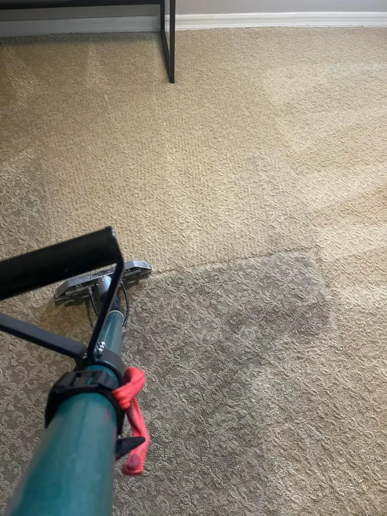 Truck-mount cleaning wand pulling a clean stripe through soiled carpet